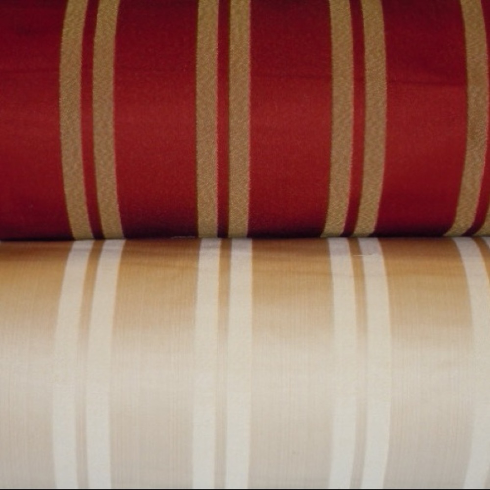 Chic Casanova Stripe in Scarlet Fabric
